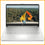 HP NoteBook 14s-dq2072nia Intel Core i7 8GB Ram 512GB SSD 13th Gen Laptop