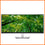 DELL 34 Curved USB-C Hub Monitor- P3424WE ( WQHD 3440 x 1440p)