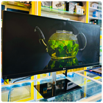 LG 29-inch WideScreen Display Monitor with HD Speakers / Audio