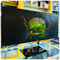 LG 29-inch WideScreen Display Monitor with HD Speakers / Audio