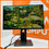 Dell P2419H 24″ Full HD(1080p) IPS Panel Frameless Monitor, HDMI + DisplayPort + VGA | USB Hub.