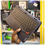 Lenovo 500w 2-in-1 Laptop 11.6"Touchscreen, Intel Pentium N5100, 4GB RAM, 128GB SSD