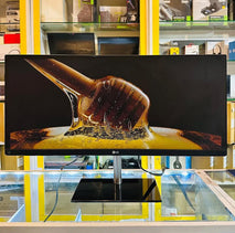 LG 29-inch WideScreen Display Monitor with HD Speakers / Audio