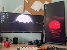 LG 29-inch WideScreen Display Monitor with HD Speakers / Audio