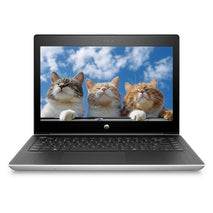 HP ProBook MT31 Mobile Thin Client  Intel Celeron 3867U 8GB RAM 256GB SSD